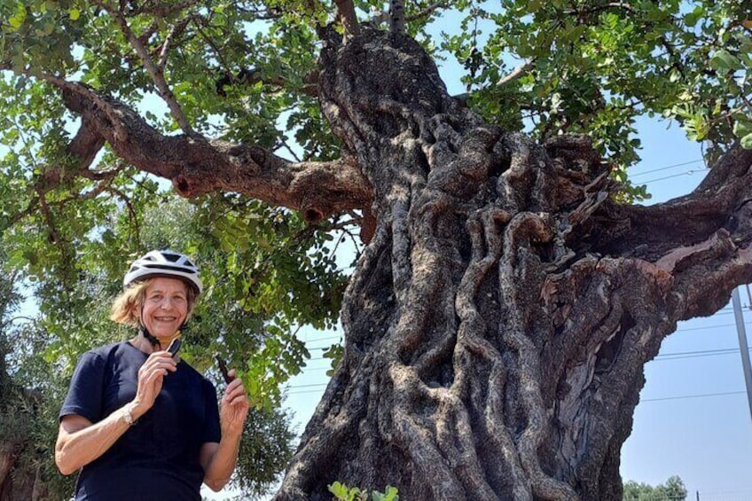 e-Bike tour from Monopoli to the rocky village of S. Andrea 