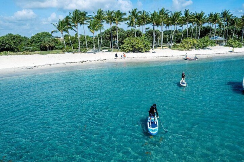 3 Hours Summer Excursion in Peanut Island Park