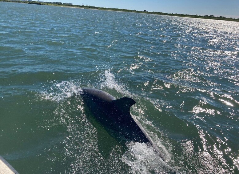 Picture 2 for Activity Ocean City: Atlantic Ocean Catamaran Cruise with Crew