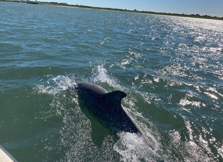 Picture 2 for Activity Ocean City: Atlantic Ocean Catamaran Cruise with Crew