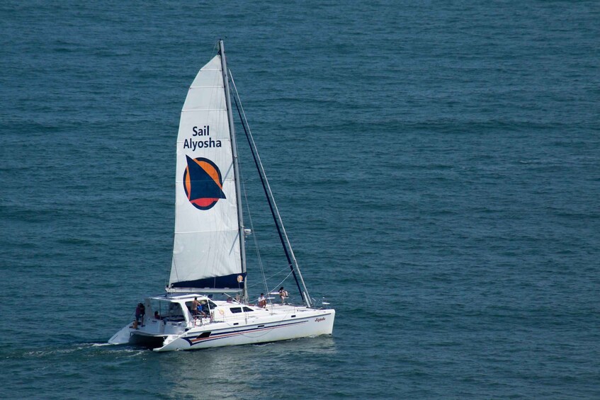 Picture 3 for Activity Ocean City: Atlantic Ocean Catamaran Cruise with Crew