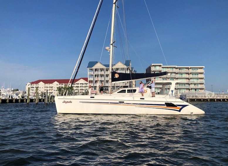 Ocean City: Assateague Island Morning Cruise