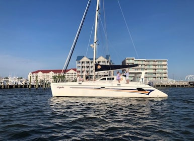 Ocean City: Assateague Island Morning Cruise