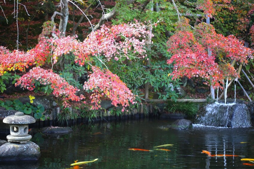 From Tokyo - Kamakura & Enoshima - One Day Bus Tour