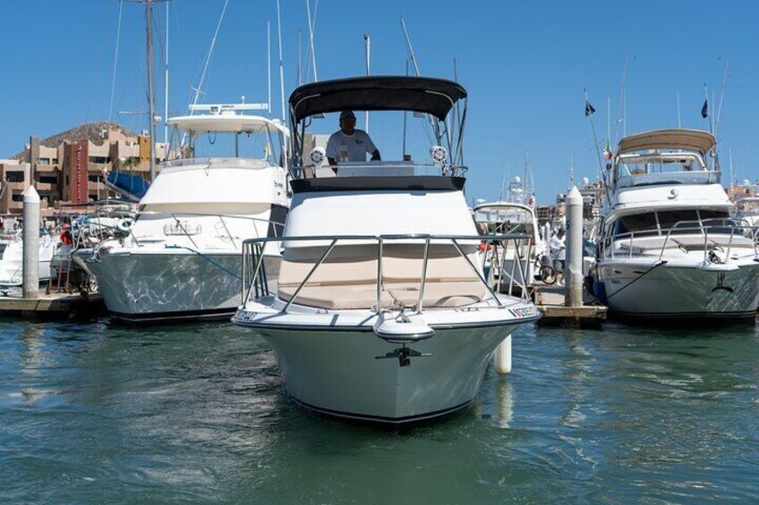 Luxury Private Yacht Charter in Cabo San Lucas Mexico