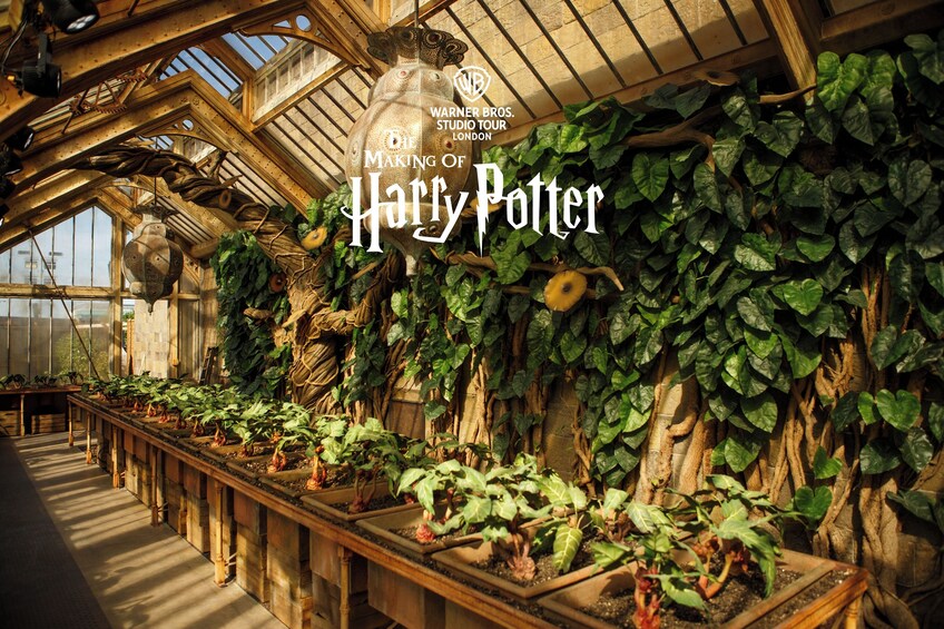 The Making of Harry Potter: Warner Bros. Studio Tour & Escorted Transfer 