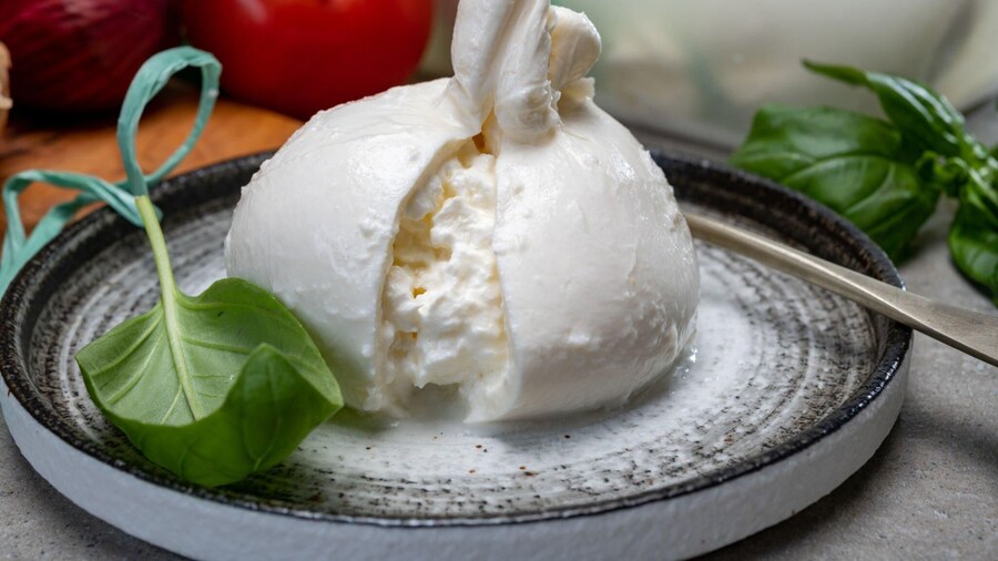 mozzarella experience