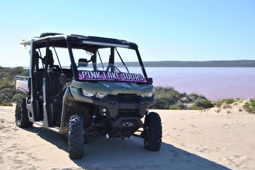 Gregory: Pink Lake Buggy Tour