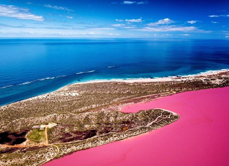 Picture 1 for Activity Gregory: Pink Lake Buggy Tour