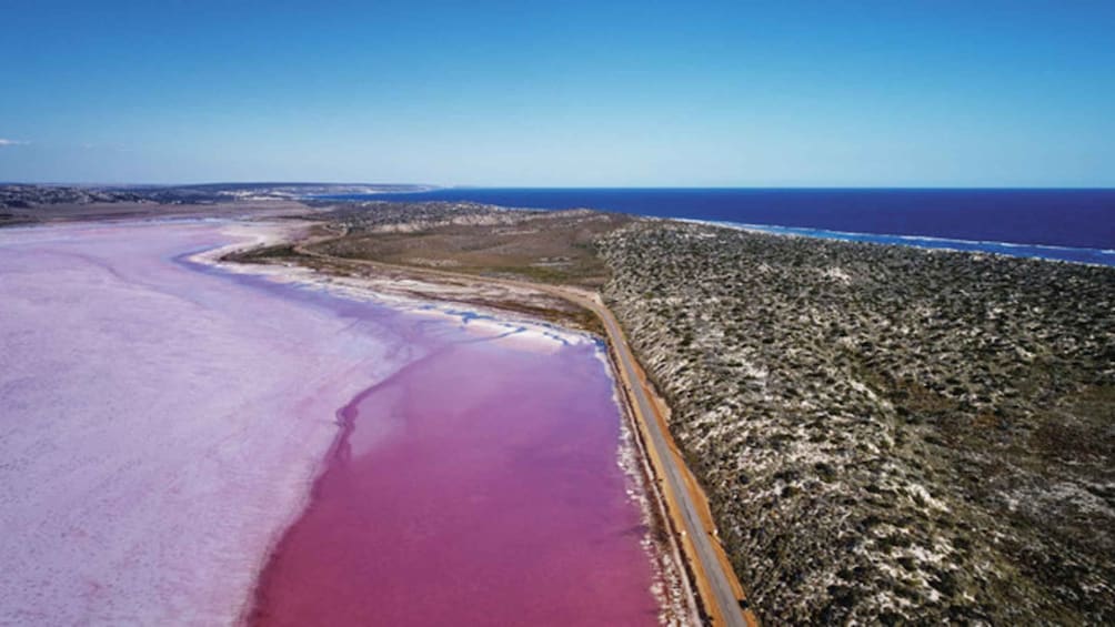 Picture 4 for Activity Gregory: Pink Lake Buggy Tour