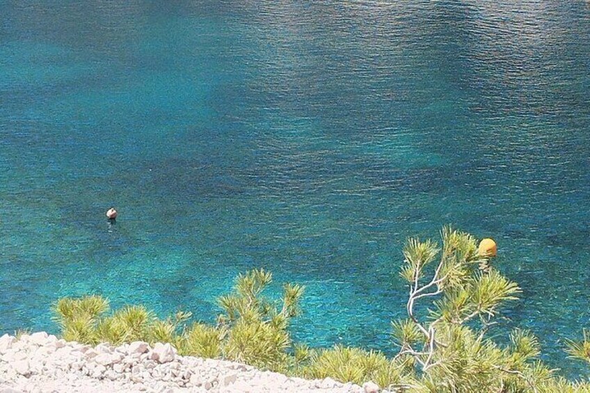 A crystalline water