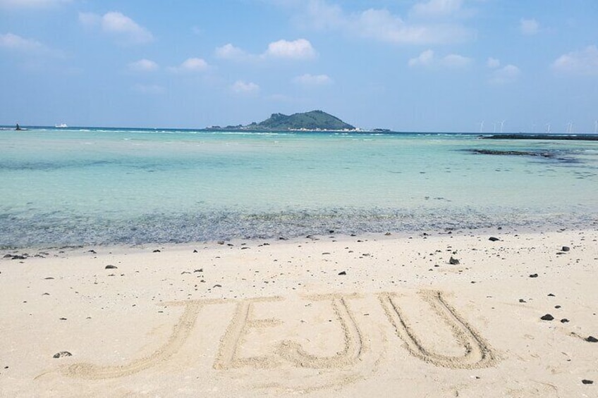 Jeju airport start & west tour & drop off in seogwipo(Jeju city) 