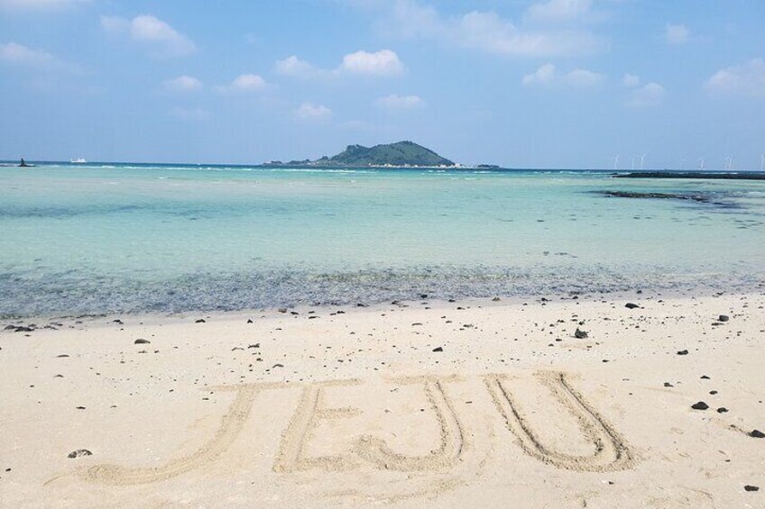 Jeju airport start & west tour & drop off in seogwipo(Jeju city)