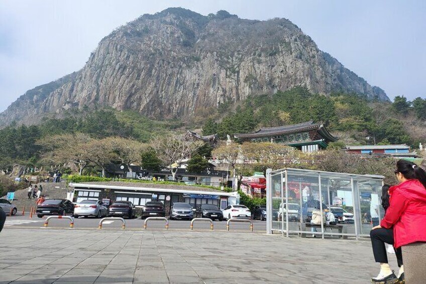 Jeju airport start & west tour & drop off in seogwipo