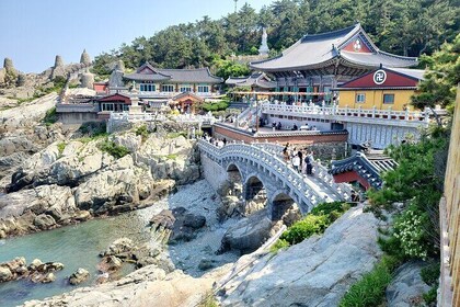 5Hour Private Taxi driver Tour in Jeju