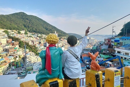 5Hour Private Taxi driver Tour in Jeju