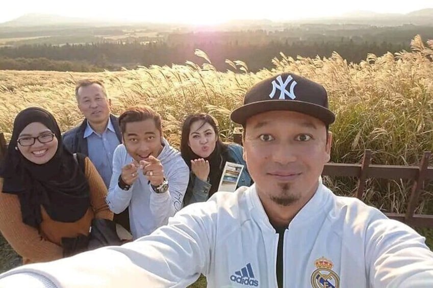 4 Hour Private Guided Tour in Jeju