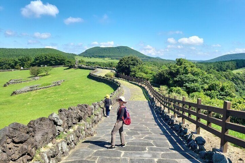 5Hour Private Taxi driver Tour in Jeju