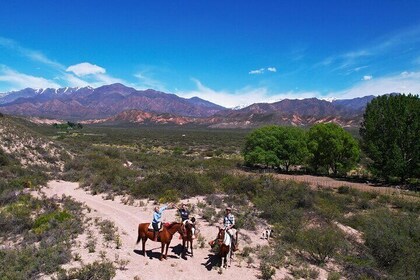 Private Horseback Riding at the foot of The Andes