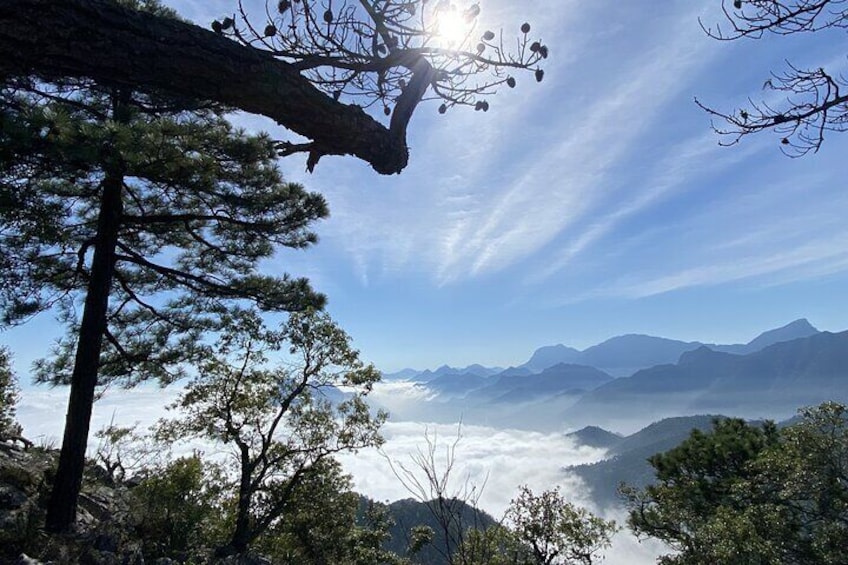 View from Puerto Olmos