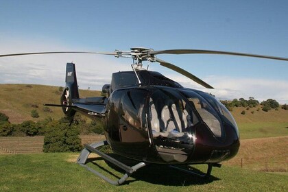Private Hunter Valley Lunch Tour by Helicopter