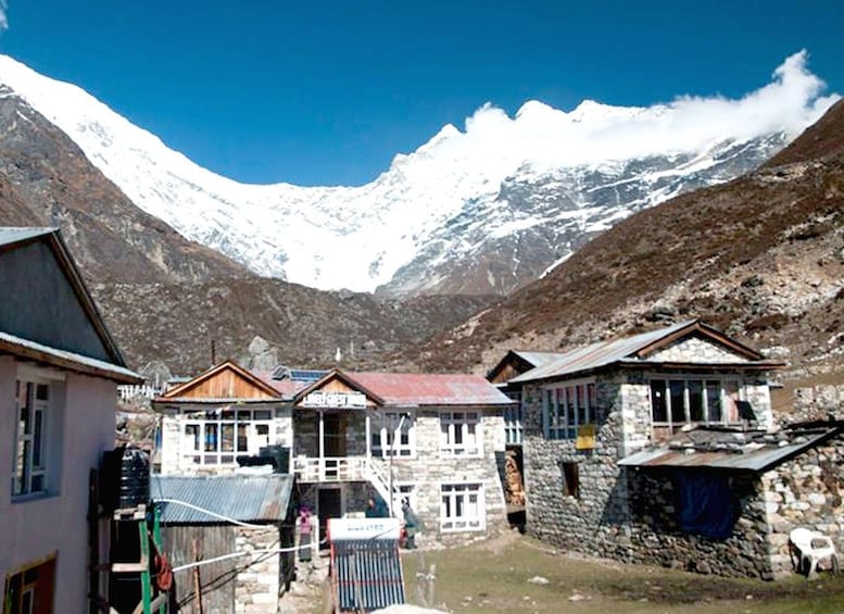 Picture 1 for Activity Langtang Valley Trek - 7 Days