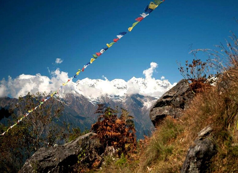 Picture 3 for Activity Langtang Valley Trek - 7 Days