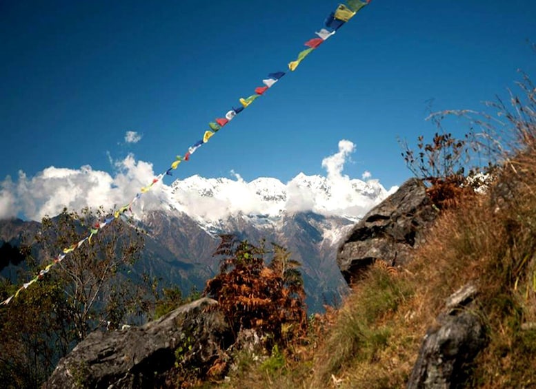 Picture 4 for Activity Langtang Valley Trek - 8 Days