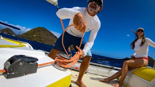 Sailing catamaran in La Baie des Saintes