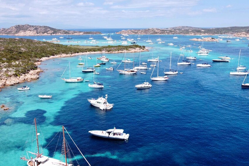 Picture 7 for Activity Northern Sardinia: La Maddalena Archipelago Boat Trip