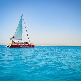 Lobos Eiland: Catamarantocht van 4 uur met lunch