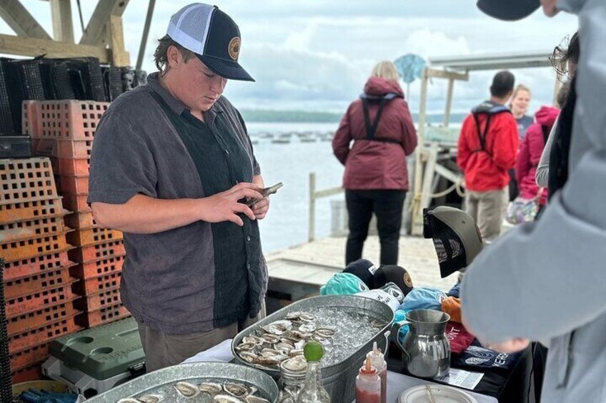 Mere Point Oyster Farm Tour