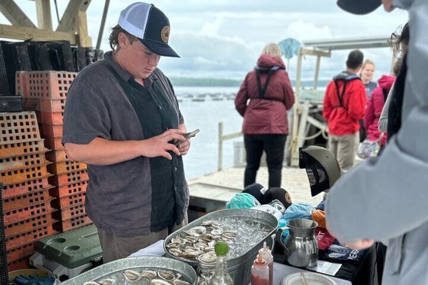 Mere Point Oyster Farm Tour