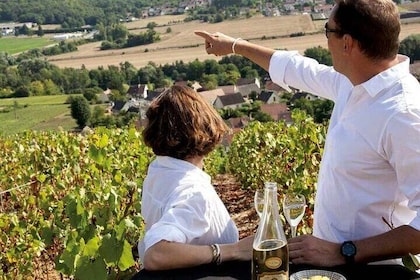 Privé-champagneproeverij van een hele dag in Reims en zijn wijngaarden