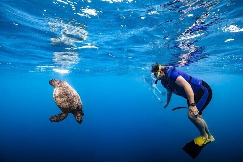 Snorkeling