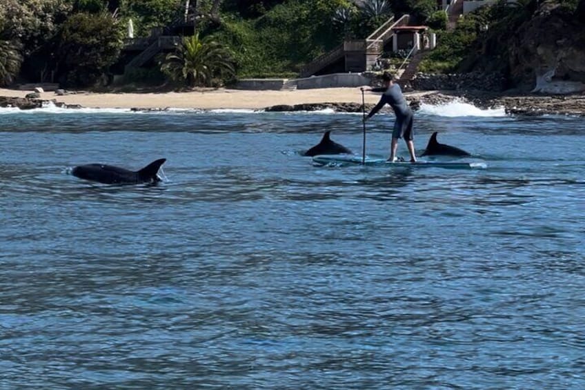 Laguna Beach Stand Up Paddle Activity