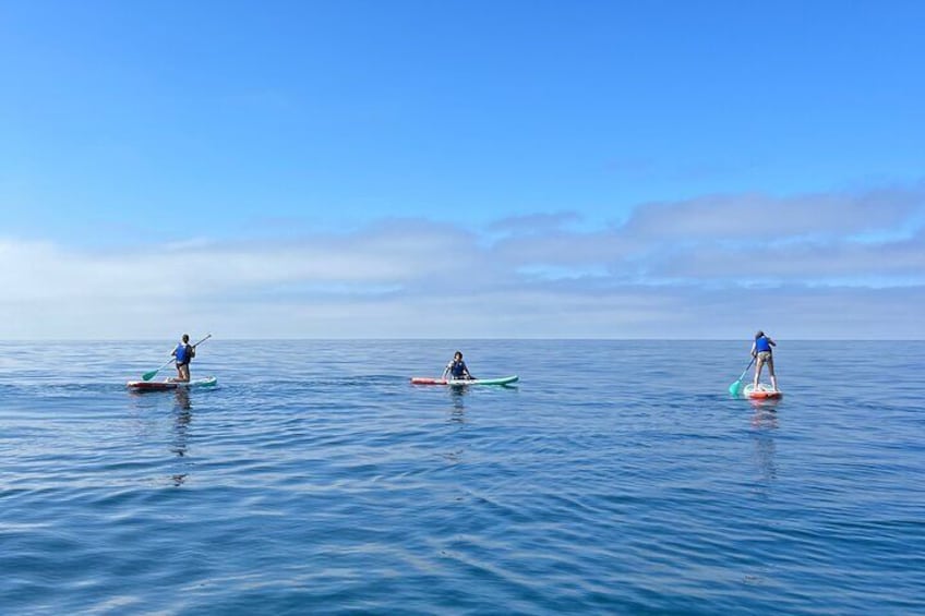 Laguna Beach Stand Up Paddle Activity