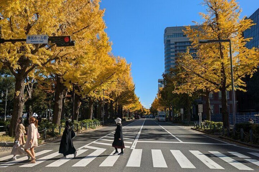 Yamashita Park in Autumn