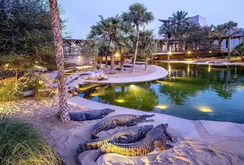 Crocodile Park Dubai