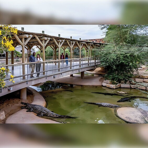 Crocodile Park Dubai 