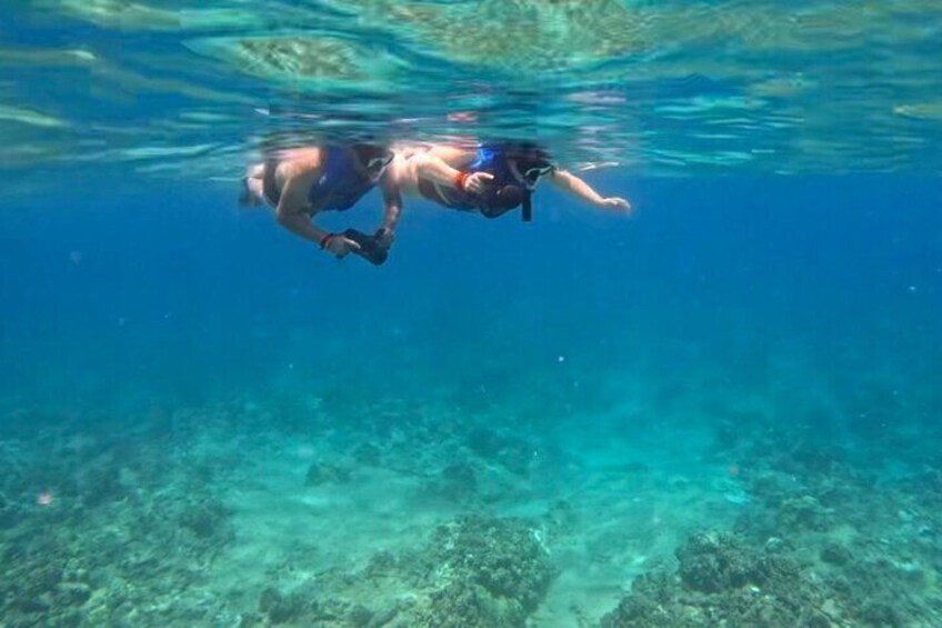 Jet Snorkeling in Turtle, Dolphin and Monk Seal Bay