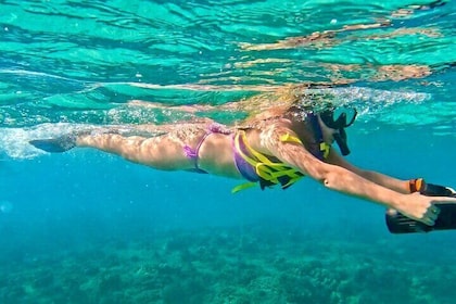 Jet Snorkelling in Turtle, Dolphin and Monk Seal Bay