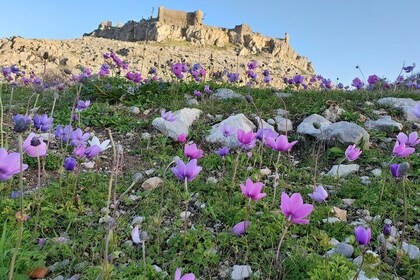 6-Hour Guided Tour in the Main Ancient Attractions of Rhodes