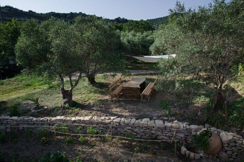 Small-Group Wine Tasting Activity in West Chania