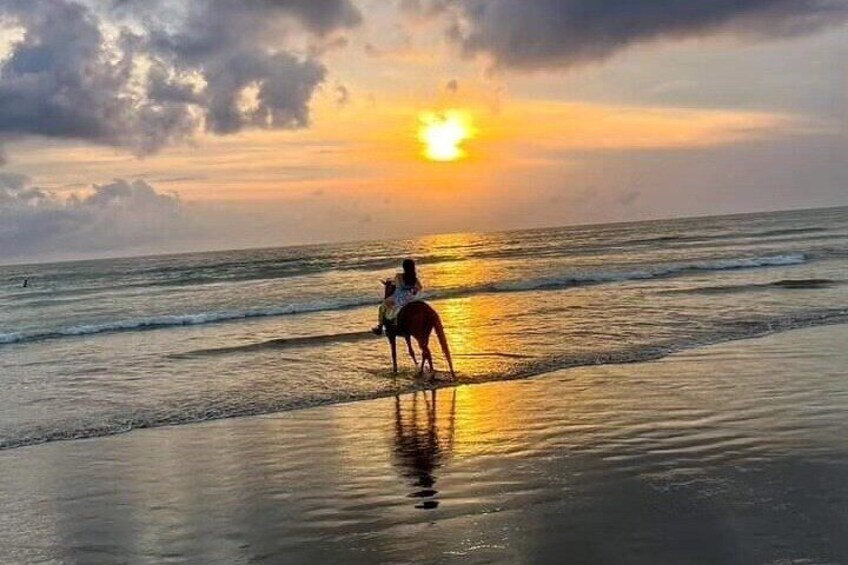 Private Bali Horse Riding and Surf lesson in Seminyak Beach