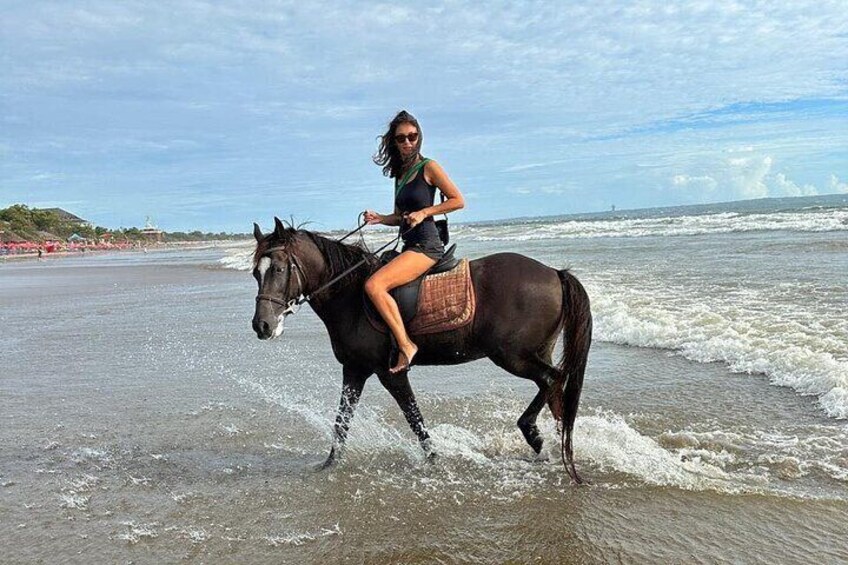 Private Bali Horse Riding and Surf lesson in Seminyak Beach