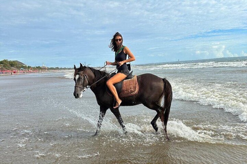 Private Bali Horse Riding and Surf lesson in Seminyak Beach