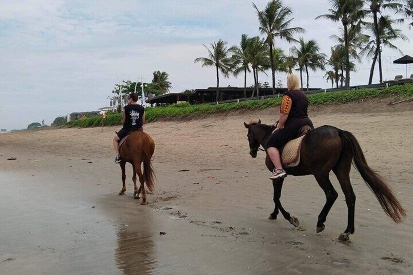 Private Bali Horse Riding and Surf lesson in Seminyak Beach