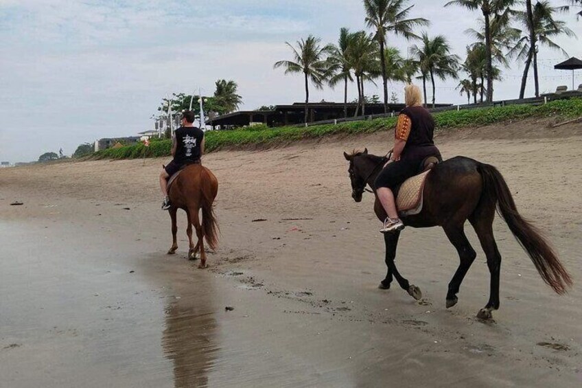Private Bali Horse Riding and Surf lesson in Seminyak Beach