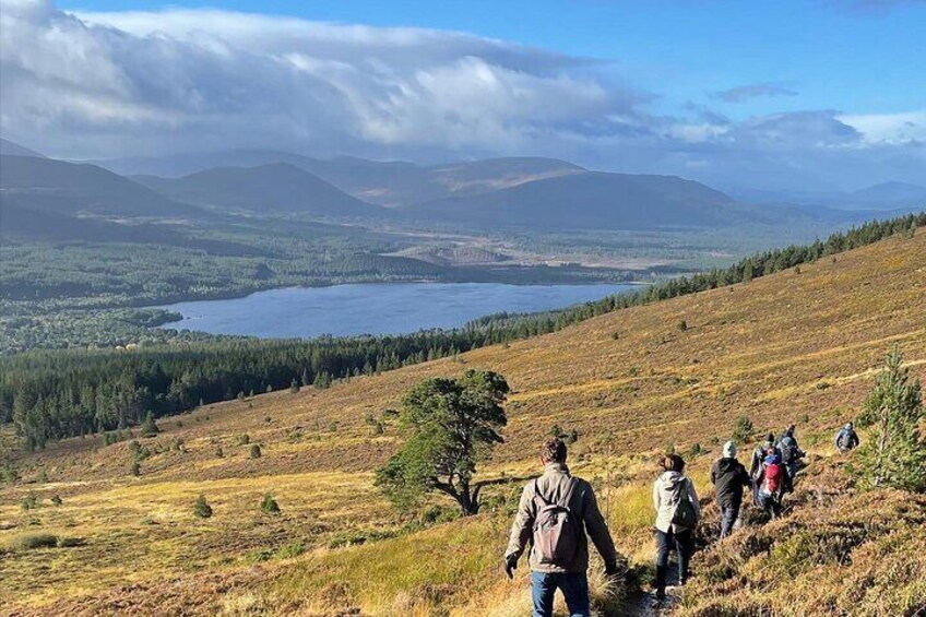 Private Guided Walking in Cairngorm Mountains in Scotland